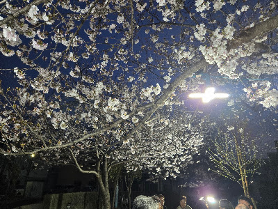 센본미나미 공원 사진 2