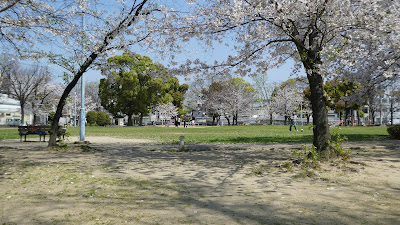 Imabayashi Park 사진 4