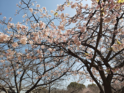 코바야시 공원 사진 4