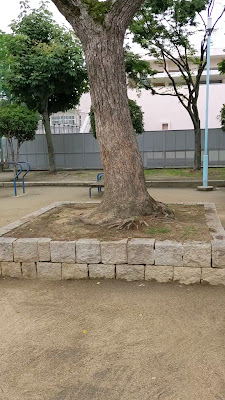 마츠도리 공원 사진 2
