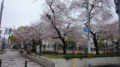 마츠도리 공원 사진 4
