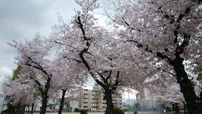 츠루마치키타 공원 사진 3