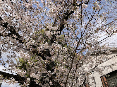 Tsurumibashihigashi Park 사진 5