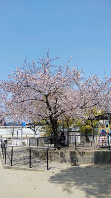 Matsutsuhigashi Park 사진 3