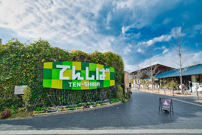 덴시바 사진 4