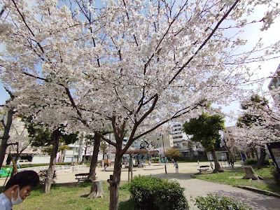 이나오 공원 사진 4