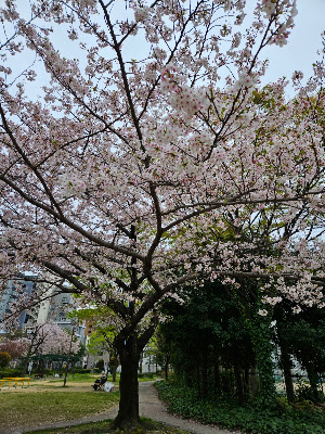 다카기시 공원 사진 3