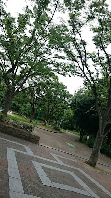 Minamiichioka Park 사진 3