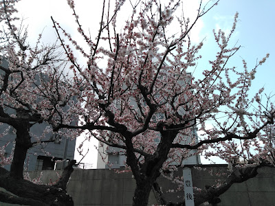 Ichioka Park 사진 2