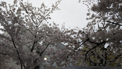 Ichiokasho Park 사진 4