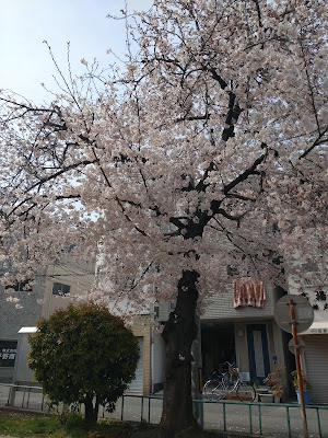 Ichiokasho Park 사진 5