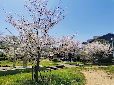 Sakuragawa Park 사진 4