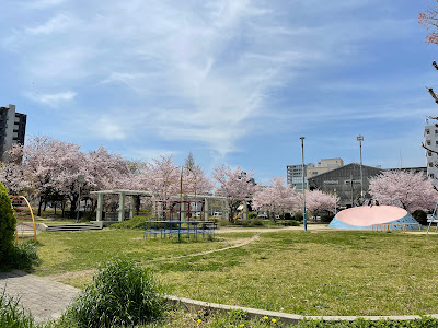 Sakuragawa Park 사진 2