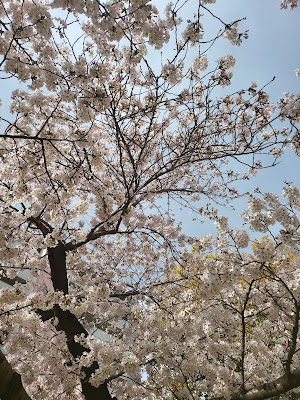Inarimachi Park 사진 4