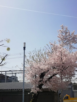 기타쓰루하시 공원 사진 2
