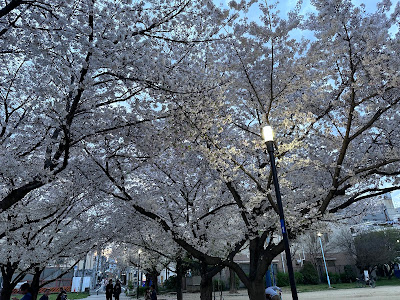 신 이마자토 공원 사진 3