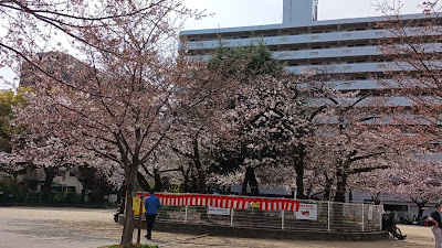 Ajiro Park 사진 2
