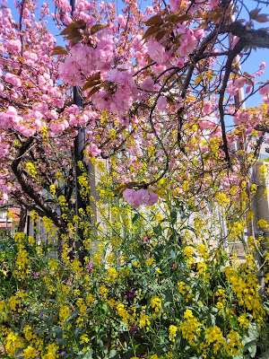 Ajiro Park 사진 3