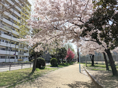 Namiyoke Park 사진 5