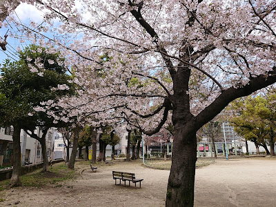 Kujo Minami Park 사진 3