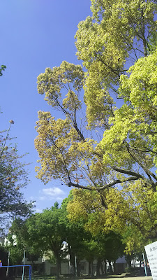 Kujo Minami Park 사진 5