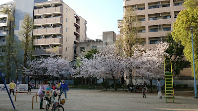 타카키야바시 공원 사진 2