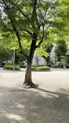 신마치미나미 공원 사진 2