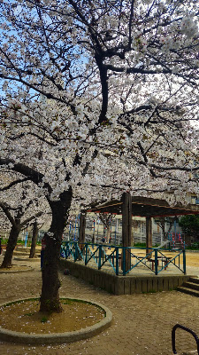 도진 공원 사진 5