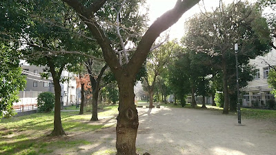 히로코지 공원 사진 2