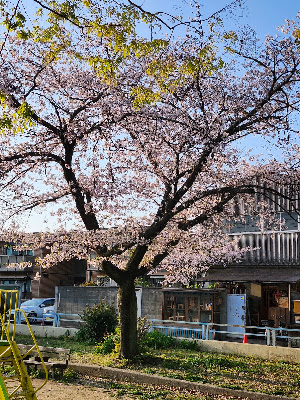 Fukae Park 사진 4