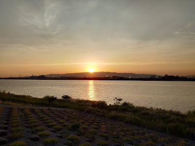 Konohana River Path 사진 4