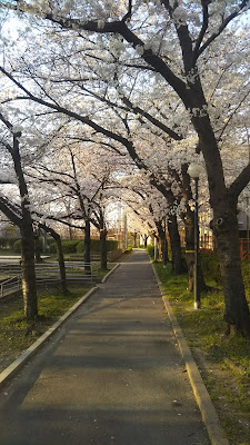 Denpo Park 사진 3