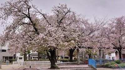 Baika Higashi Park 사진 2