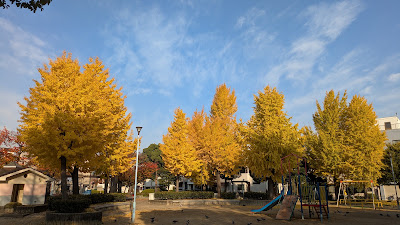 Baika Higashi Park 사진 3