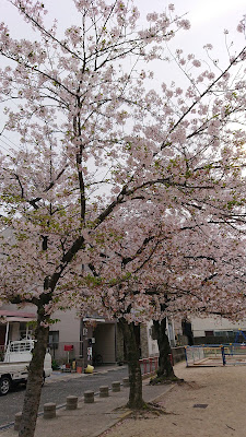 Ōnochō Park 사진 4