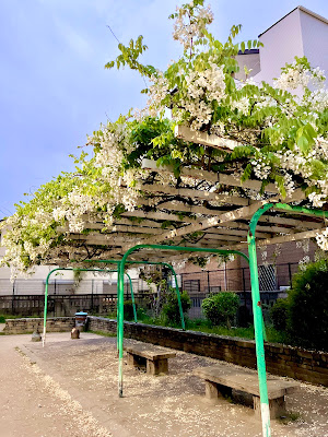 Ōnochō Park 사진 3
