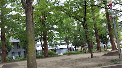 East Park 사진 2