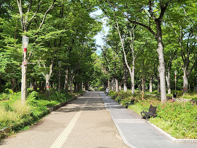 East Park 사진 4