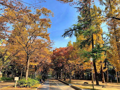 East Park 사진 5