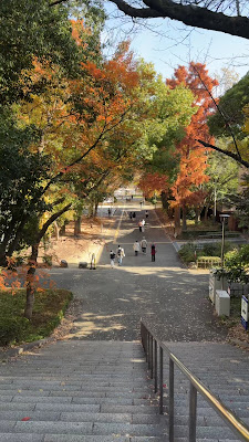 오사카 성 공원센터 사진 2