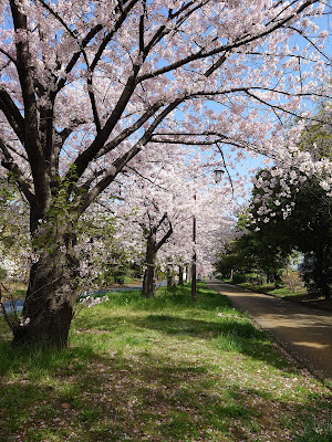 Fukumachi Park 사진 2