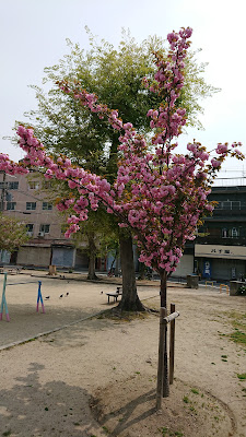 Nagata Park 사진 3