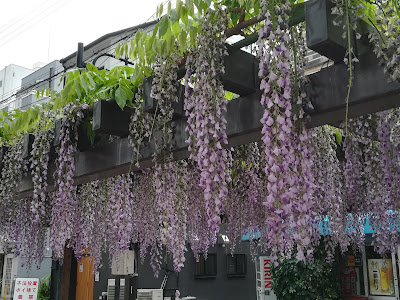 에비에 공원 사진 3