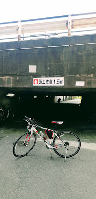 에비에니시 공원 사진 5