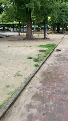 사기스우에 공원 사진 2