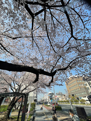 에나리 공원 사진 2