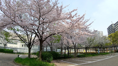 시모후쿠시마 공원 사진 4
