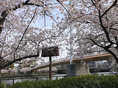 덴마바시 공원 사진 3