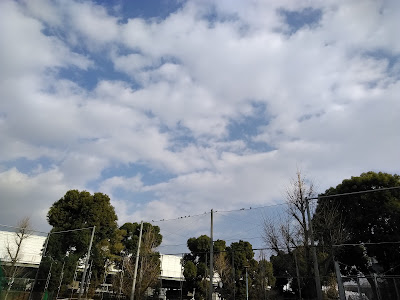Dekijima West Park 사진 3