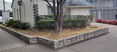 Dekijima West Park 사진 5